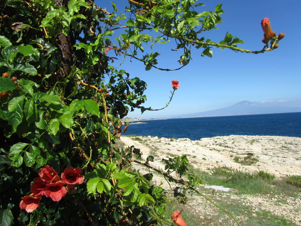 Villa Sicily Sul Mare Tra Catania E Siracusa أوغوستا الغرفة الصورة